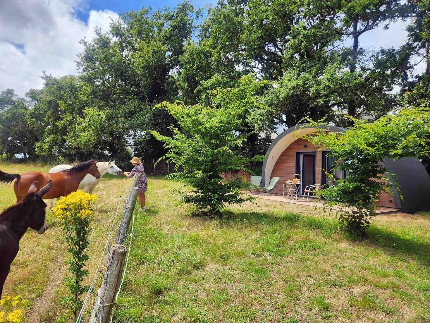 Gites & Tiny Houses Les Hauts De Toulvern بادن الغرفة الصورة