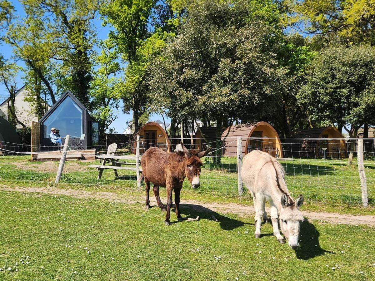 Gites & Tiny Houses Les Hauts De Toulvern بادن الغرفة الصورة